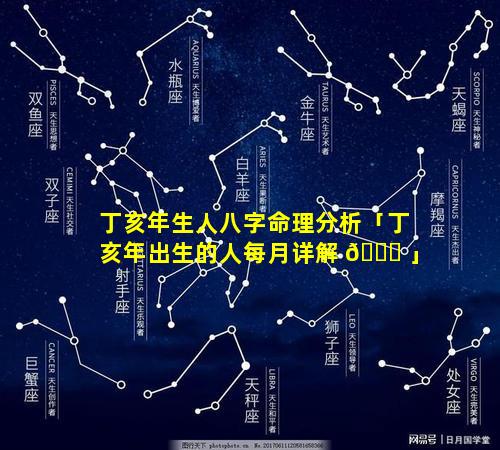 丁亥年生人八字命理分析「丁亥年出生的人每月详解 🐎 」